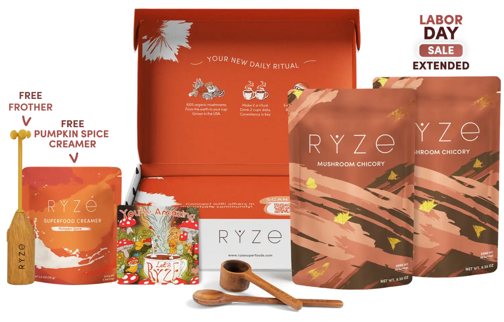 RYZE Chicory Starter Kit – 2× Mushroom Chicory (60 Servings)
