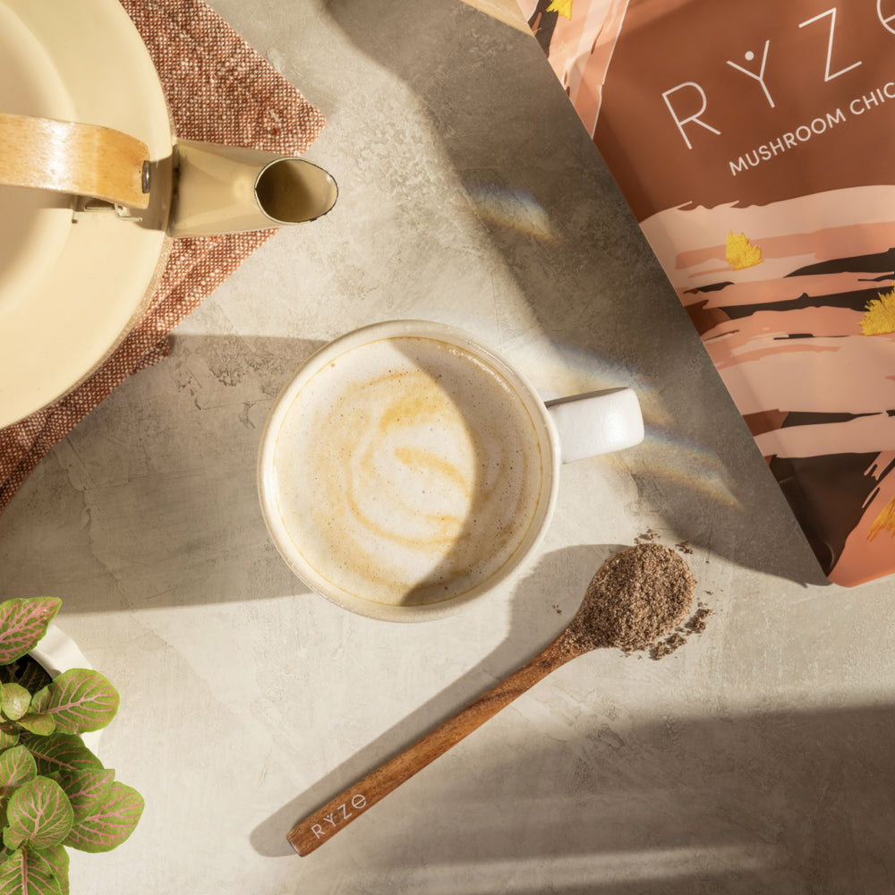 RYZE Chicory Starter Kit – 2× Mushroom Chicory (60 Servings)