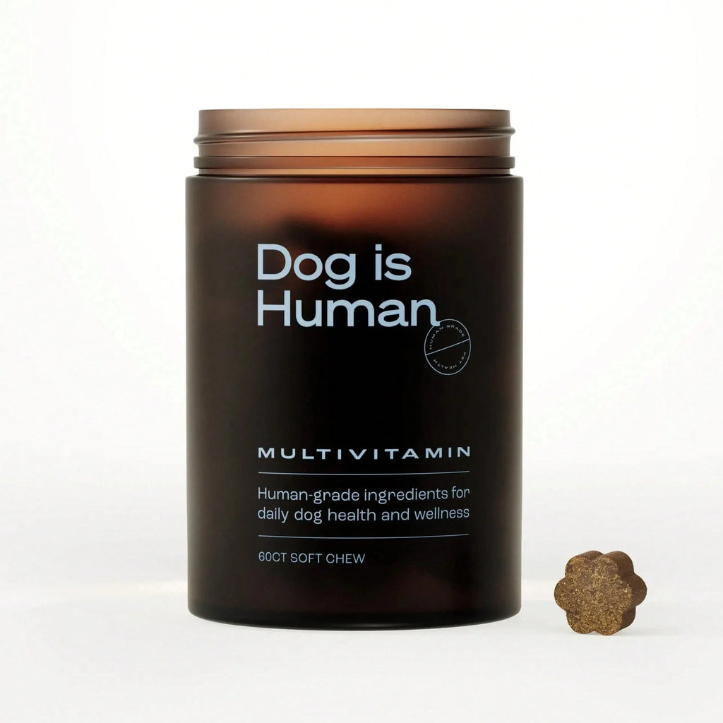 Daily Multivitamin For Dogs (Chicken Flavor) Human-Grade, Vet-Formulated, Made In Vermont