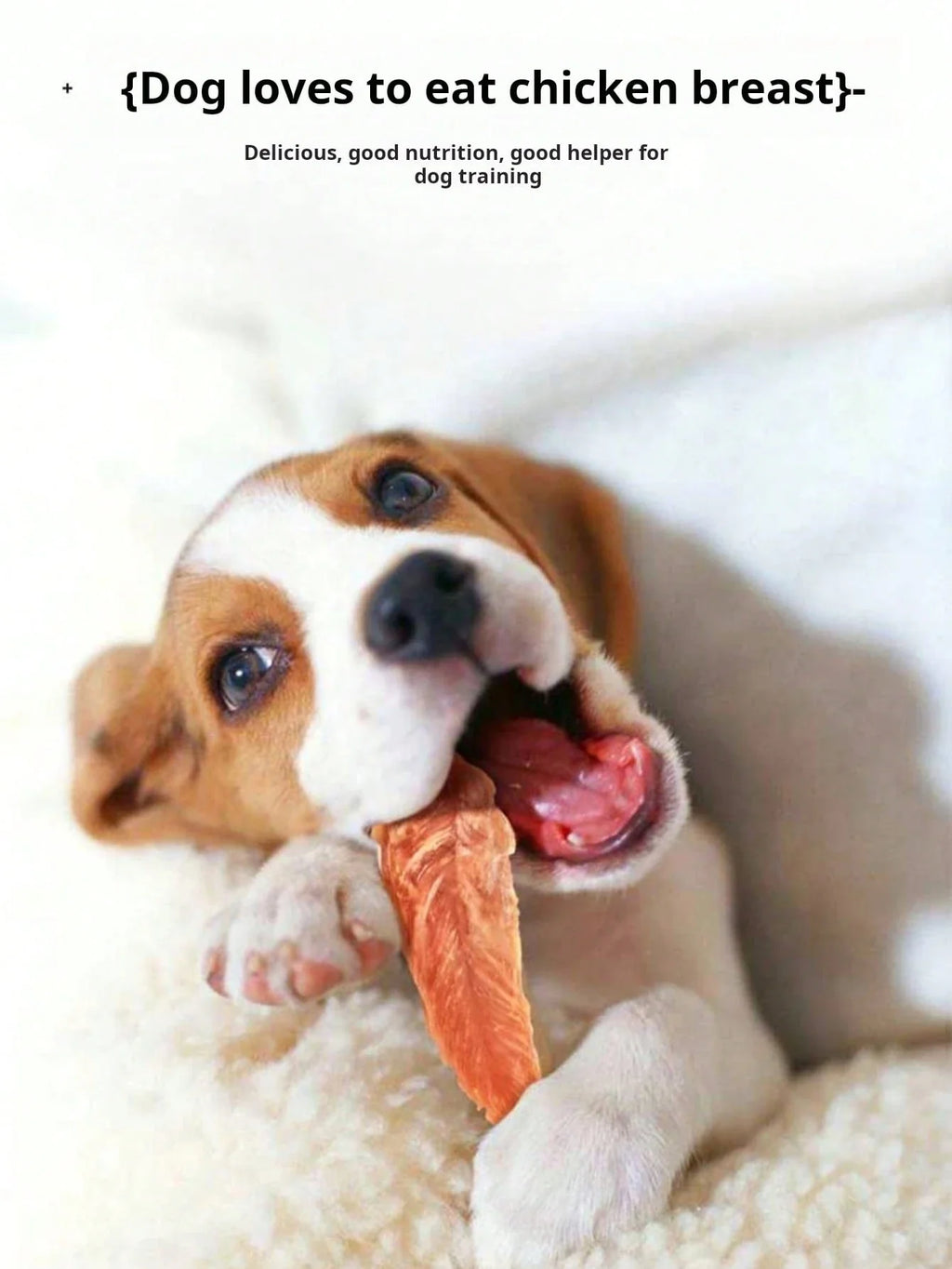 helety Pet Snacks-Chicken Breast Jerky
